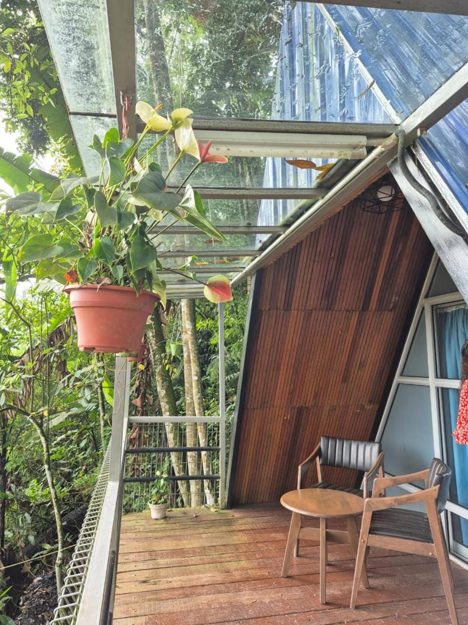 Orchid Chalet Apartment in Tanah Rata