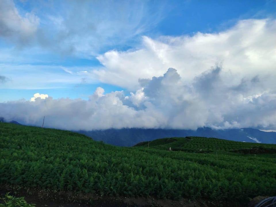 Mt Pulag Trekkers Homestay Vacation rental in Cordillera Administrative Region