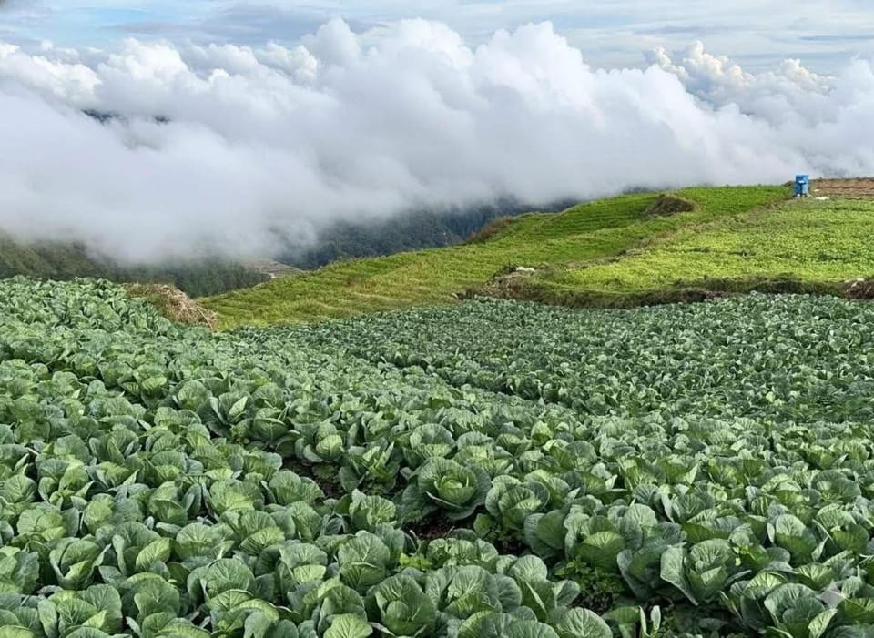 Mt Pulag Trekkers Homestay Vacation rental in Cordillera Administrative Region