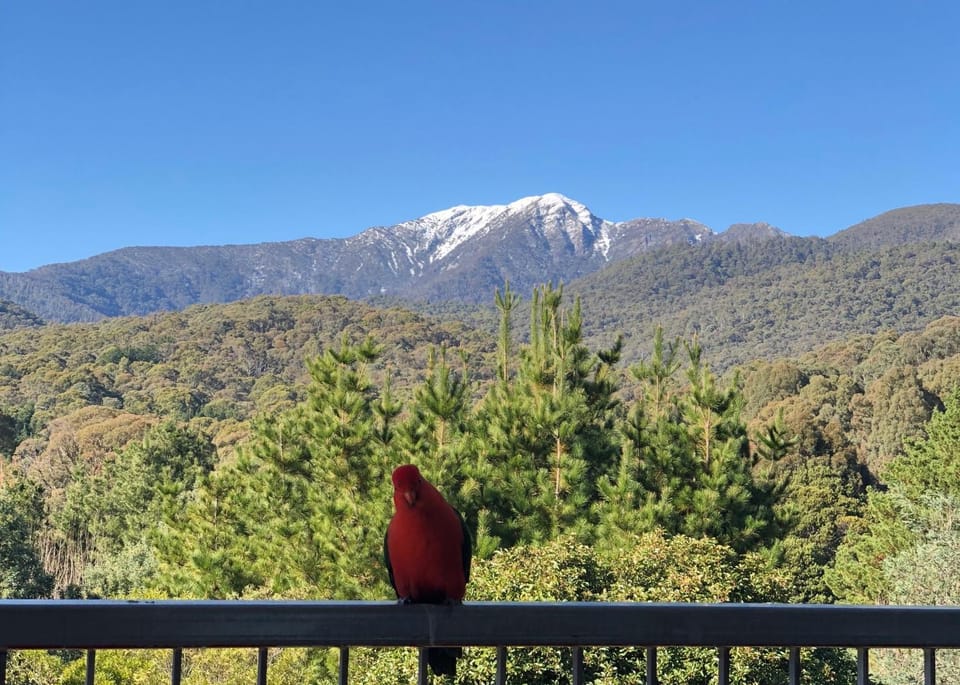 Mountain view