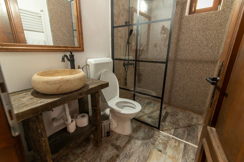 Shower, Toilet, Bathroom, towels
