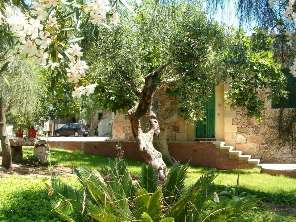Villeriunite - Villa Papiro House in Apulia