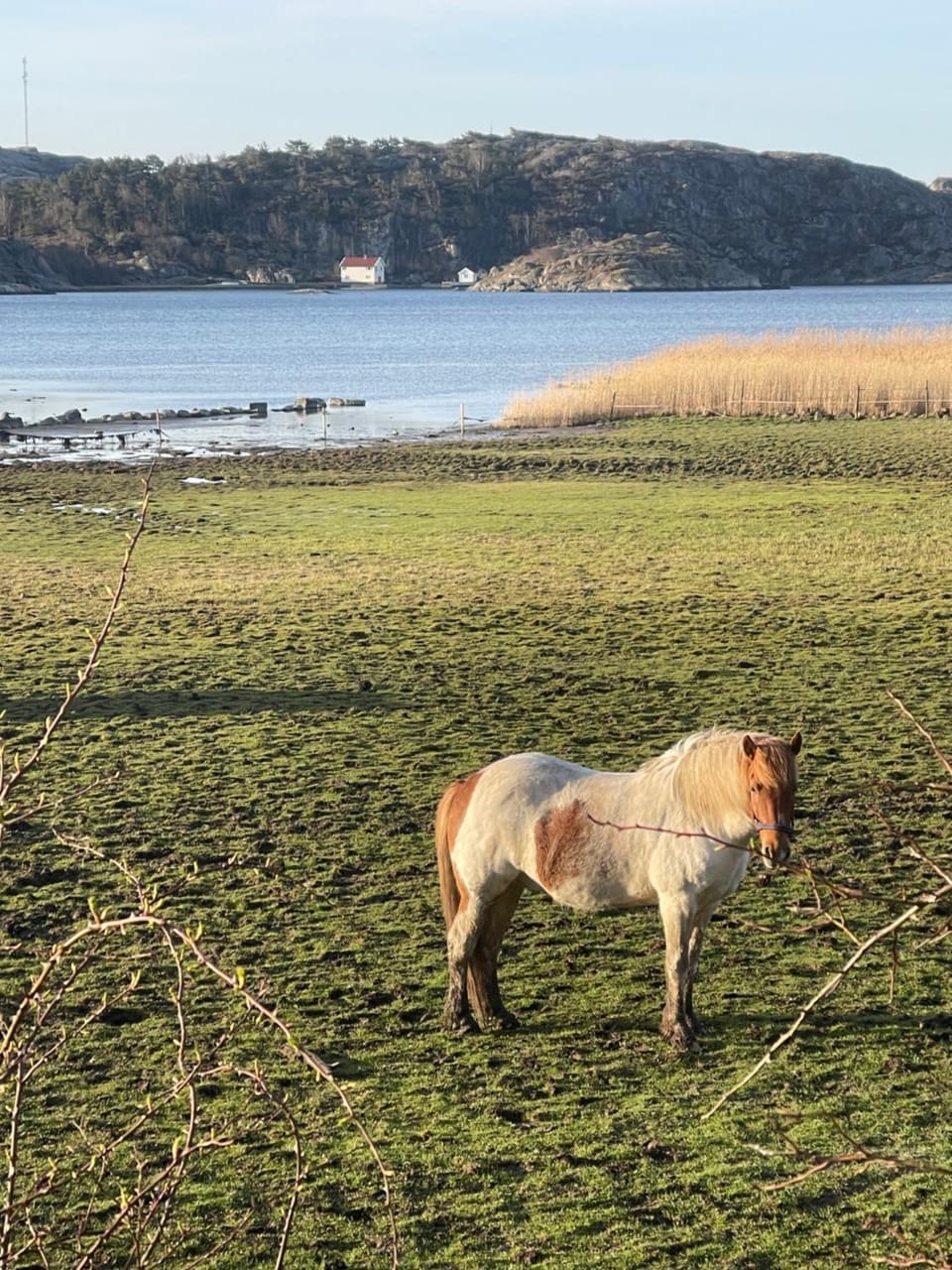 Havsnära lägenhet på gård Apartment in Västra Götaland County
