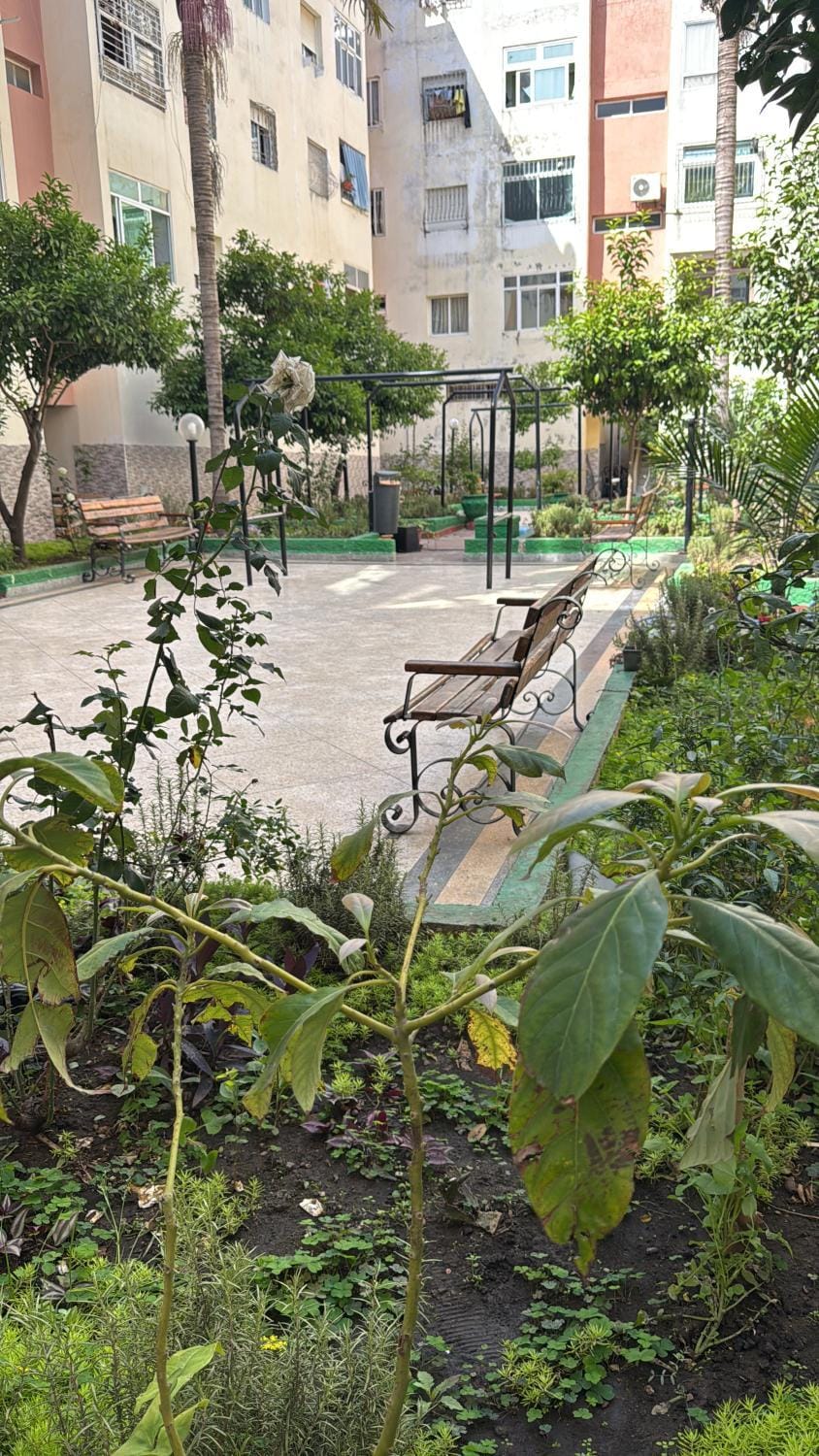 Inner courtyard view