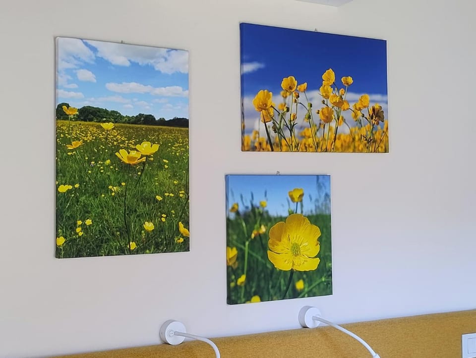 Arco delle Apuane by Migliorini Vacation rental in Emilia-Romagna