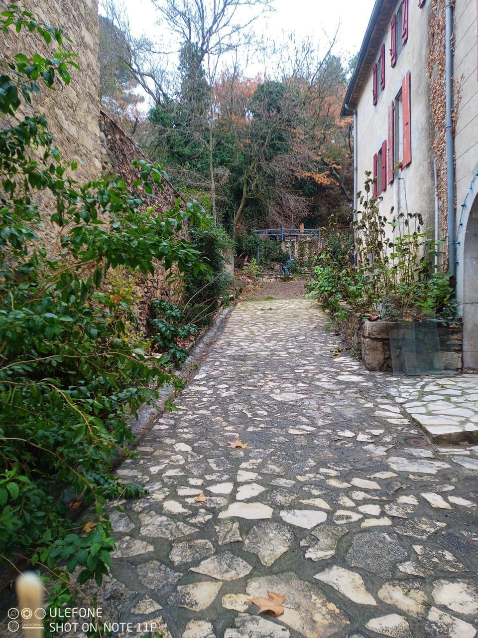 Habitation Occitania Bed and Breakfast in Occitanie