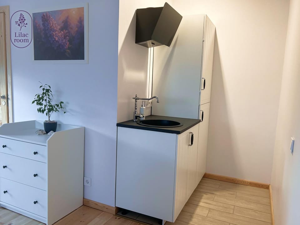 Lilac room Apartment in Latvia