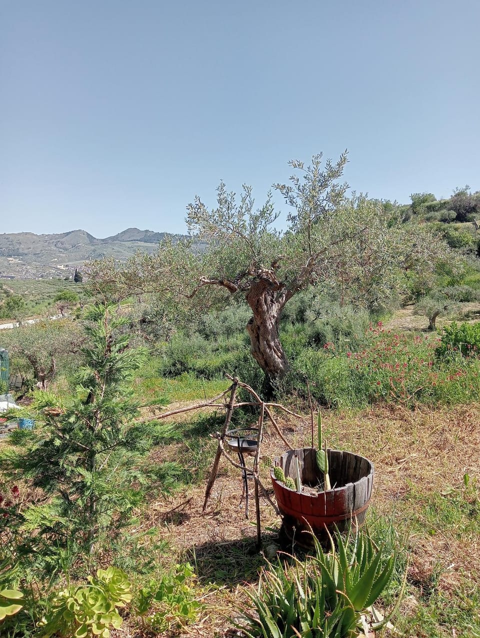 Romeo Stay eco cabins and camping Cabin in Sicily