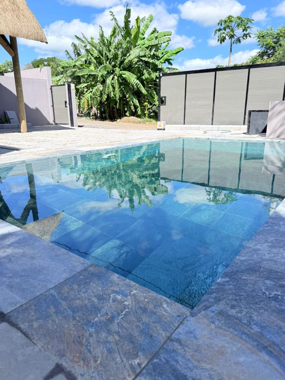 Day, Pool view, Swimming pool, Swimming pool
