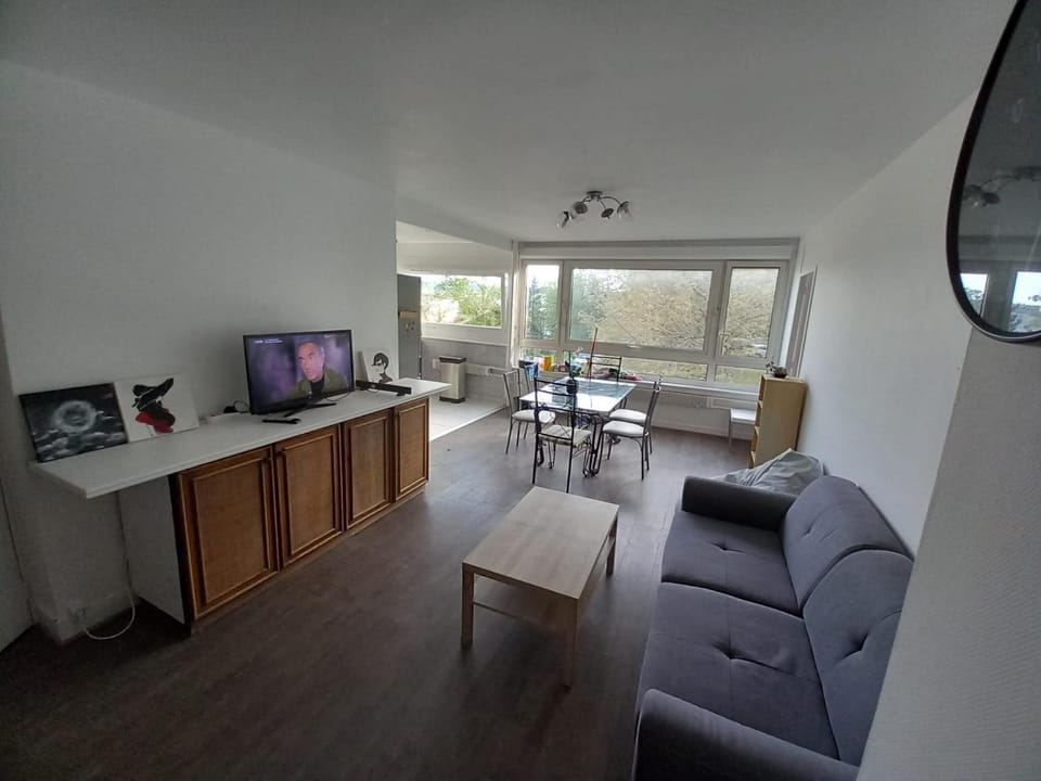 Grand F5, centre, parking Apartment in Nancy