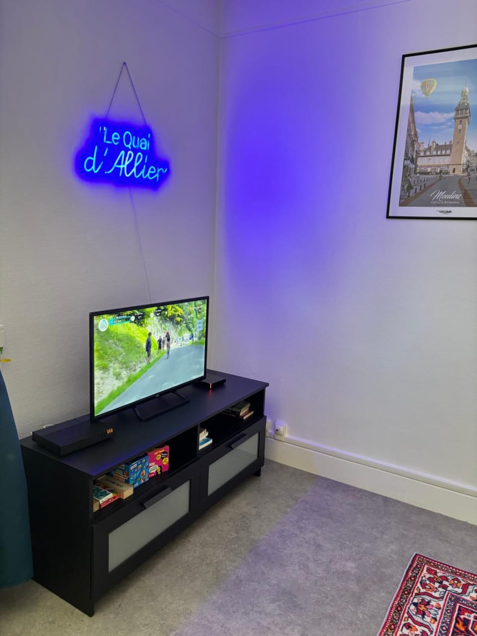 Le Quai d'Allier Apartment in Moulins