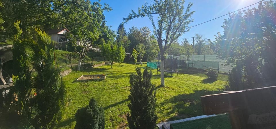 Day, Natural landscape, Garden, Garden, Garden view