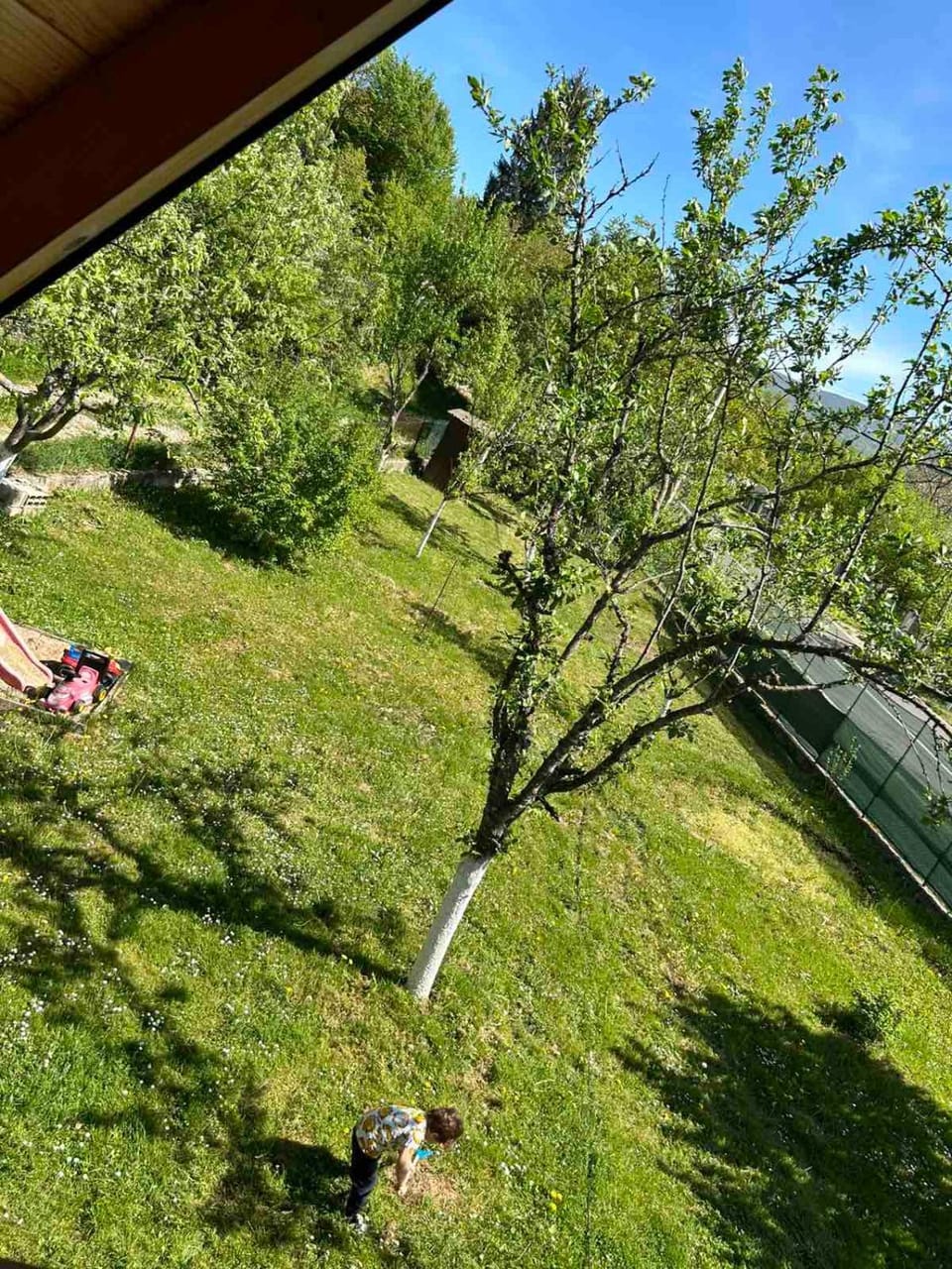 Spring, Day, Natural landscape, Garden, Garden, Garden view
