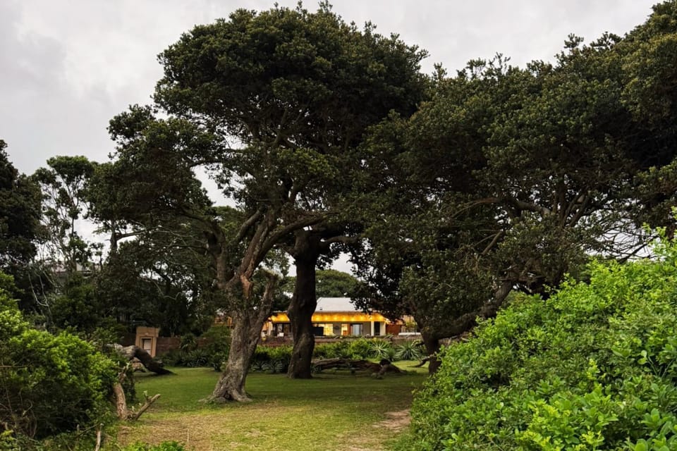 Day, Natural landscape, Garden, Garden view