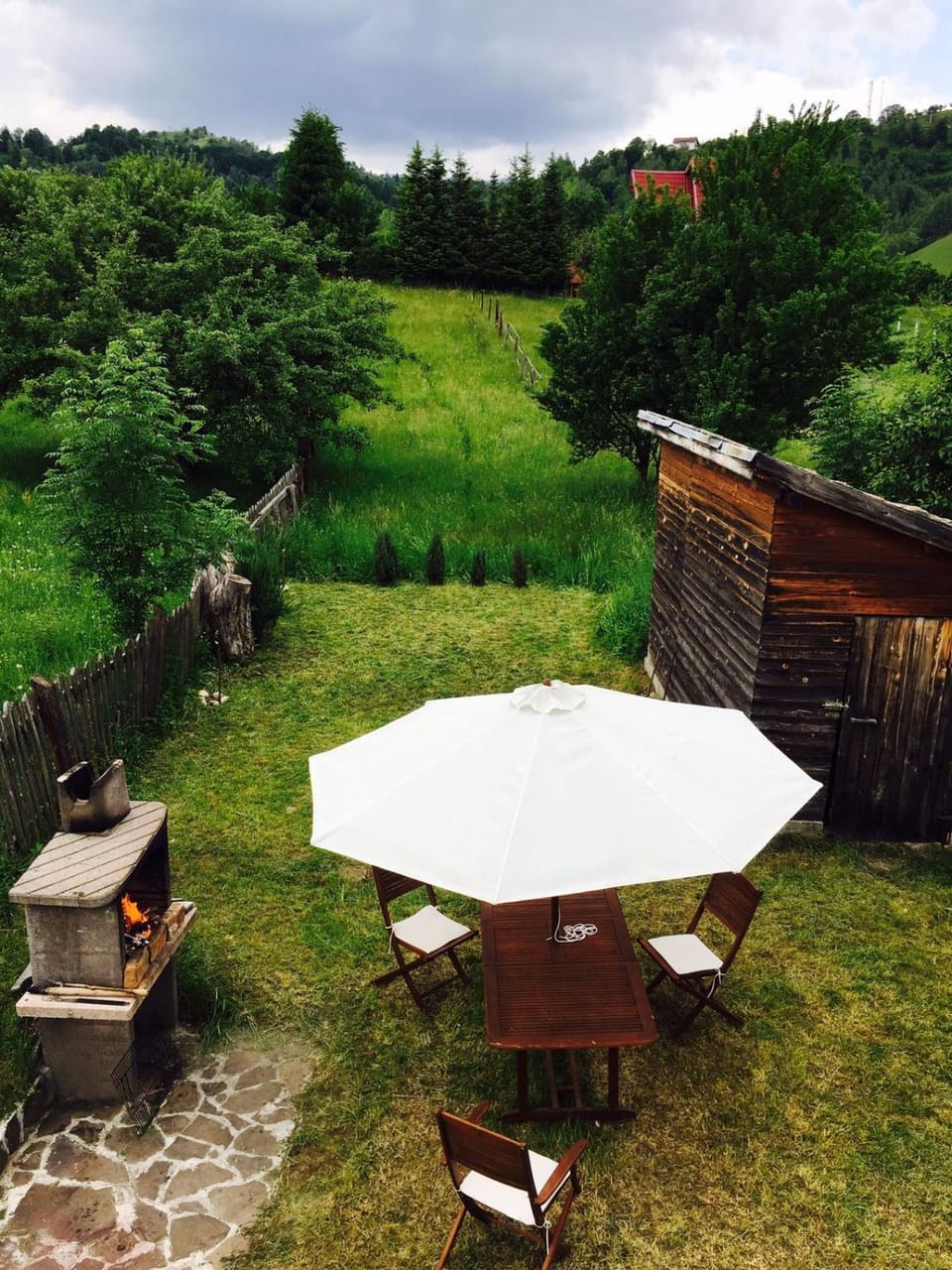Garden