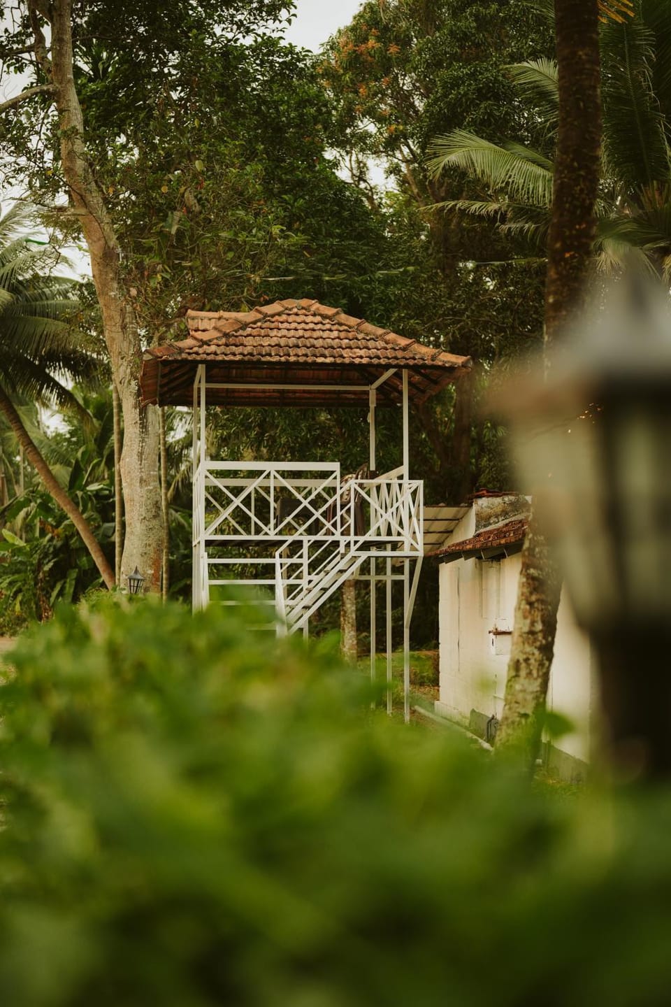 Natural landscape, Garden