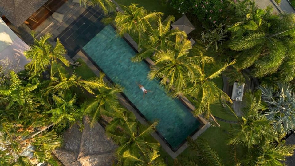 Bird's eye view, Garden, Swimming pool