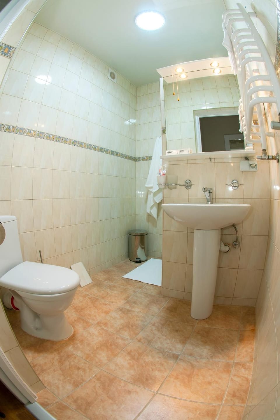 Shower, Toilet, towels