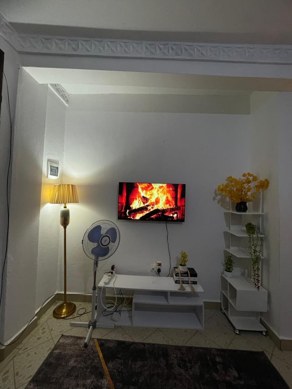 TV and multimedia