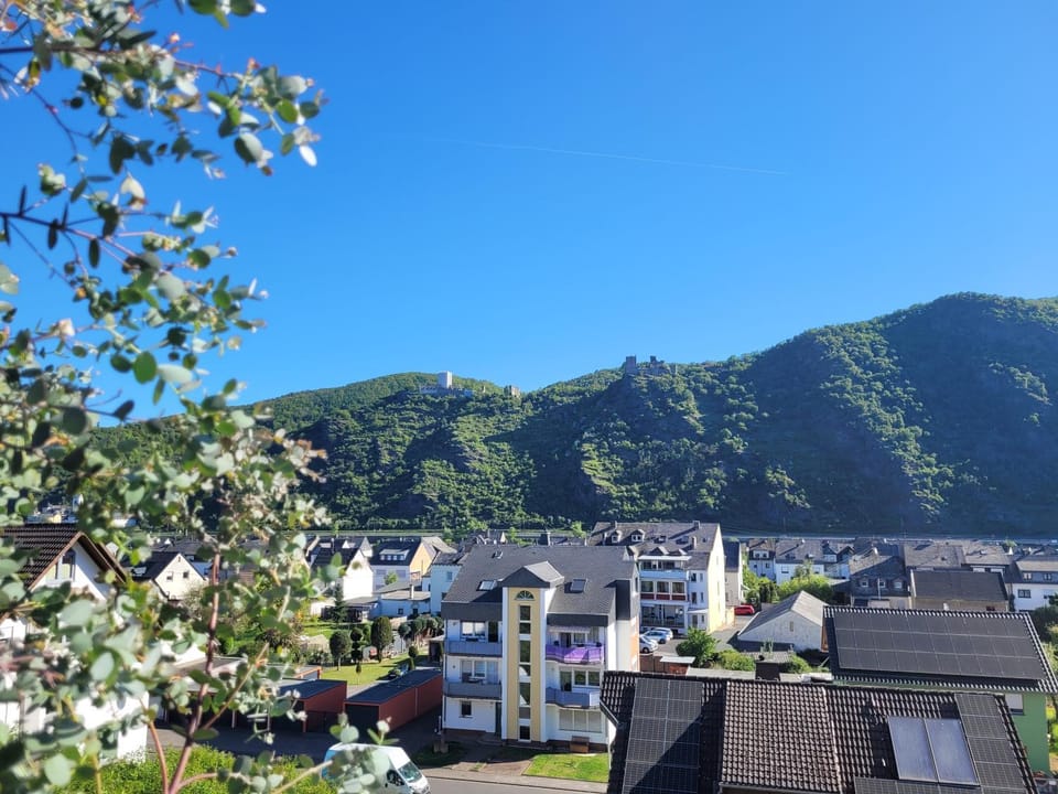 View (from property/room)