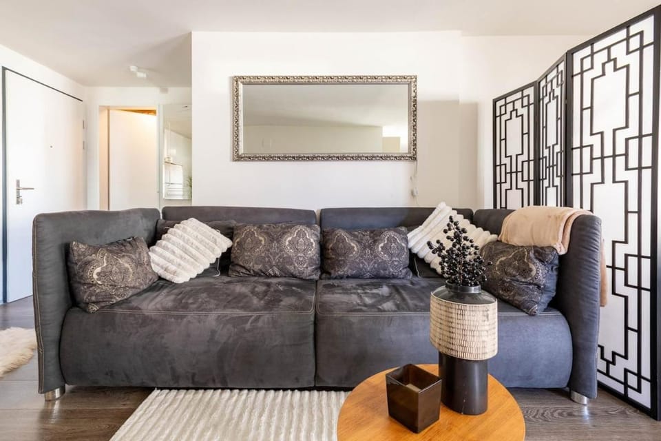 Luxury Business Apartment with 2 Monitors and Parking Apartment in Zurich City