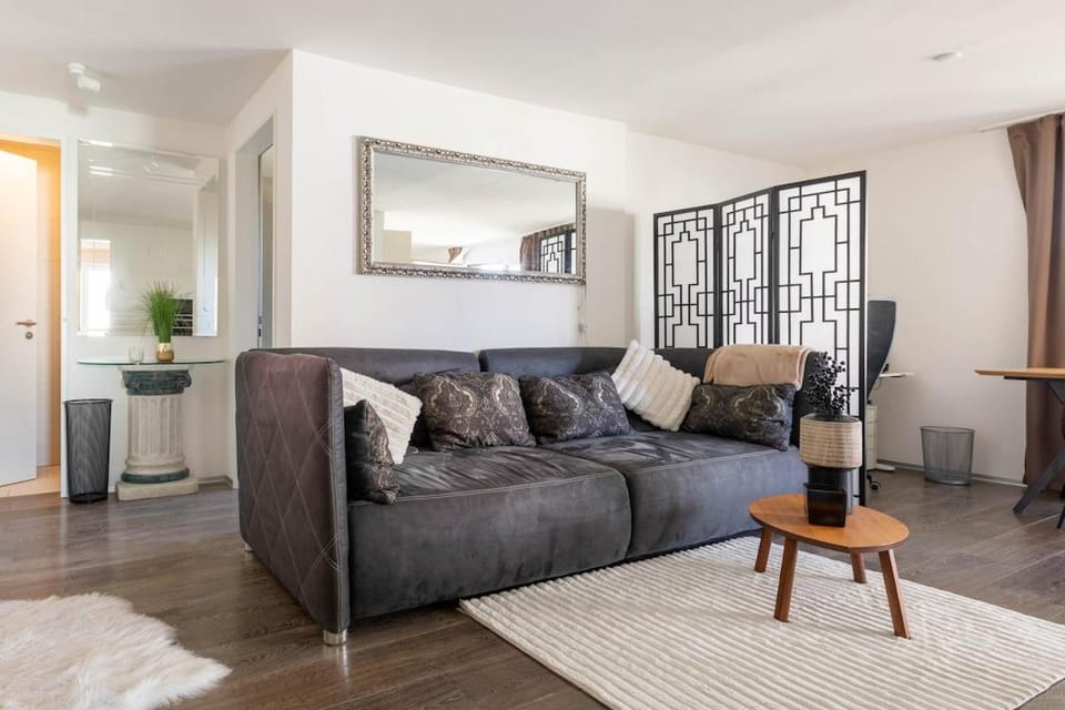Luxury Business Apartment with 2 Monitors and Parking Apartment in Zurich City