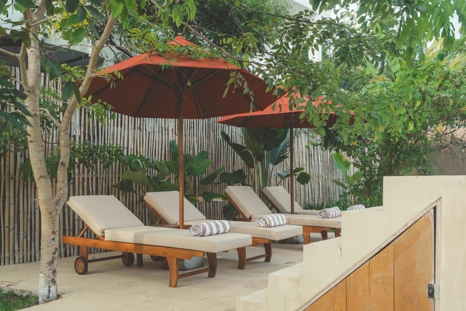 Garden, sunbed
