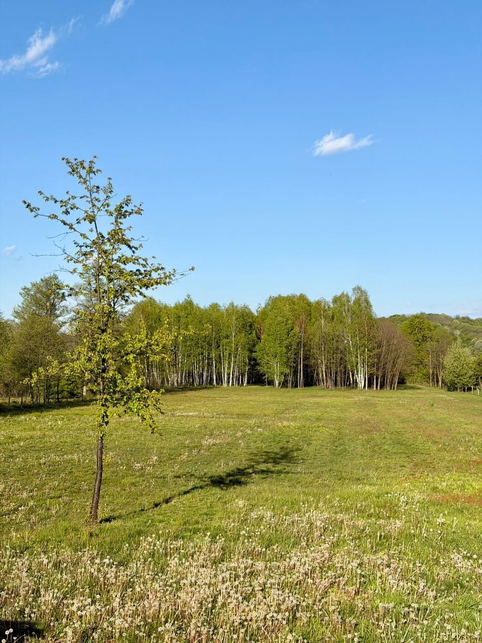 Natural landscape, Inner courtyard view