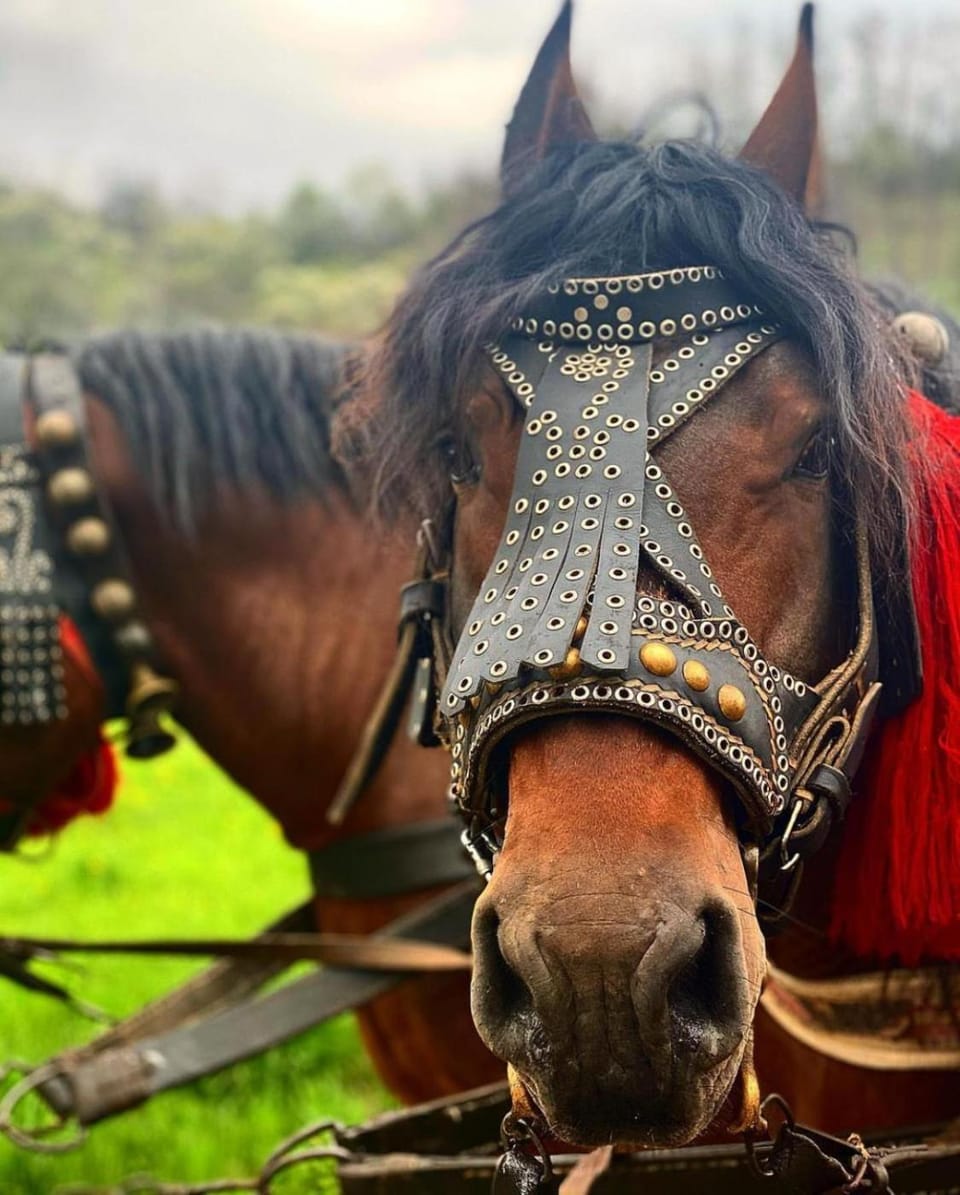 Horse-riding