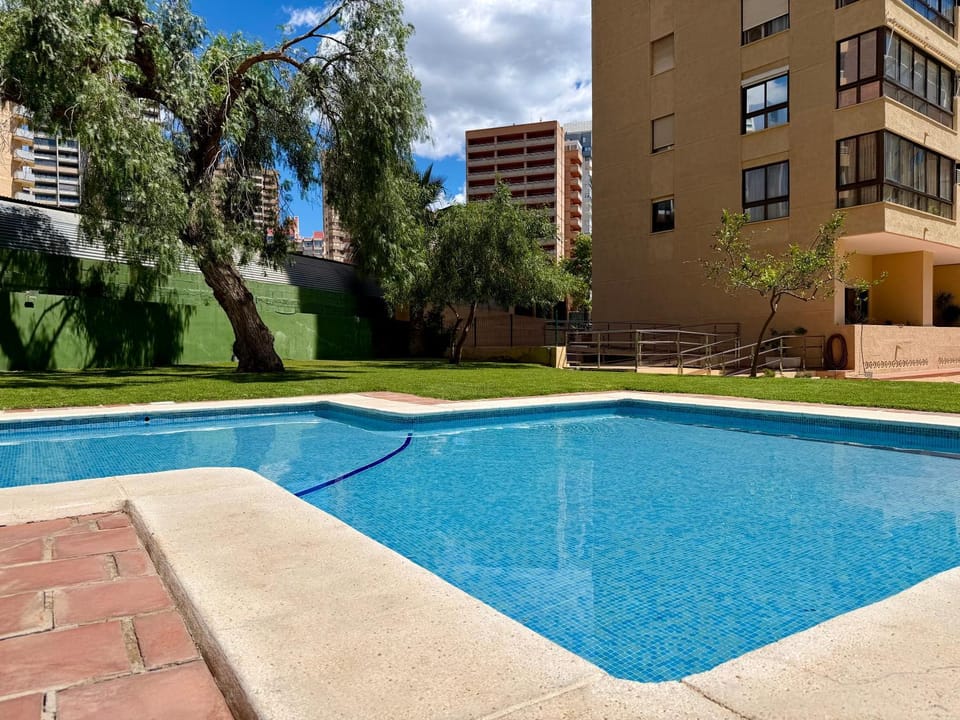 Day, Garden, Swimming pool