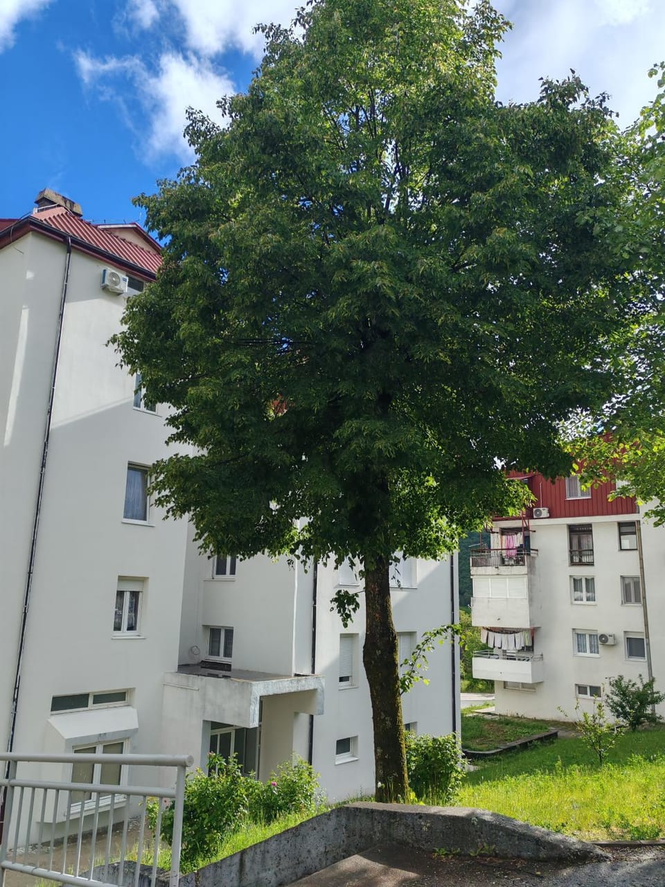 Apartman Pivska carolija Apartment in Montenegro