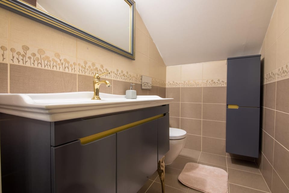 Shower, Toilet, Bathroom, bidet