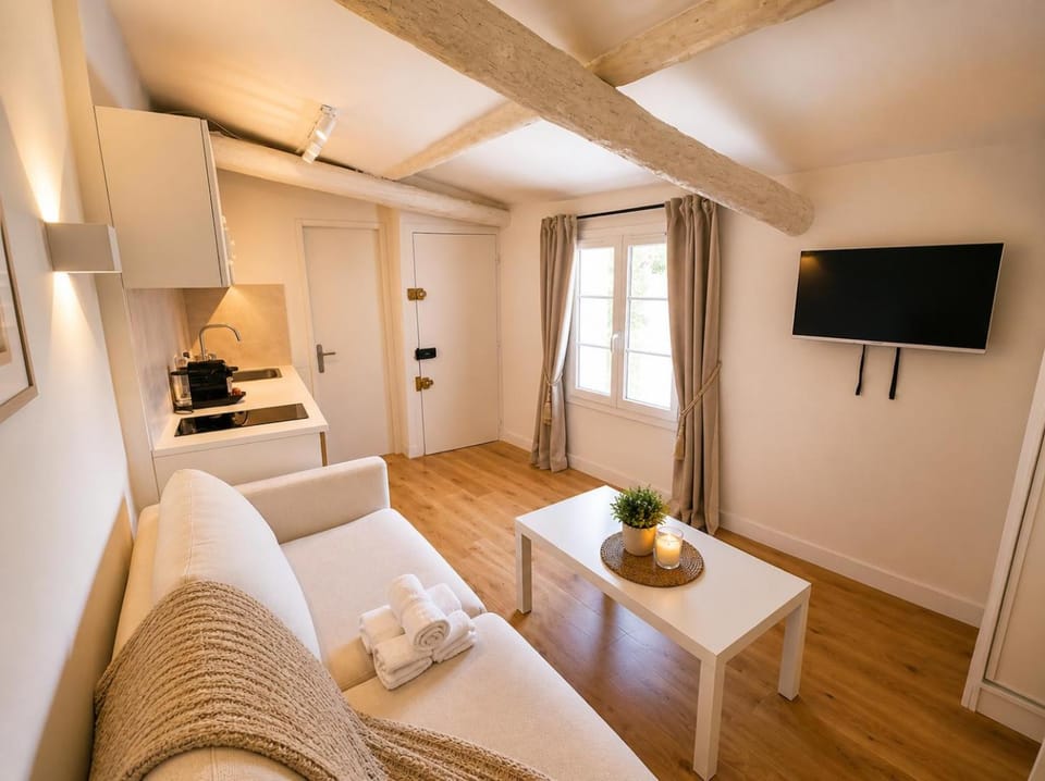 Lou Zola Apartment in Aix-en-Provence