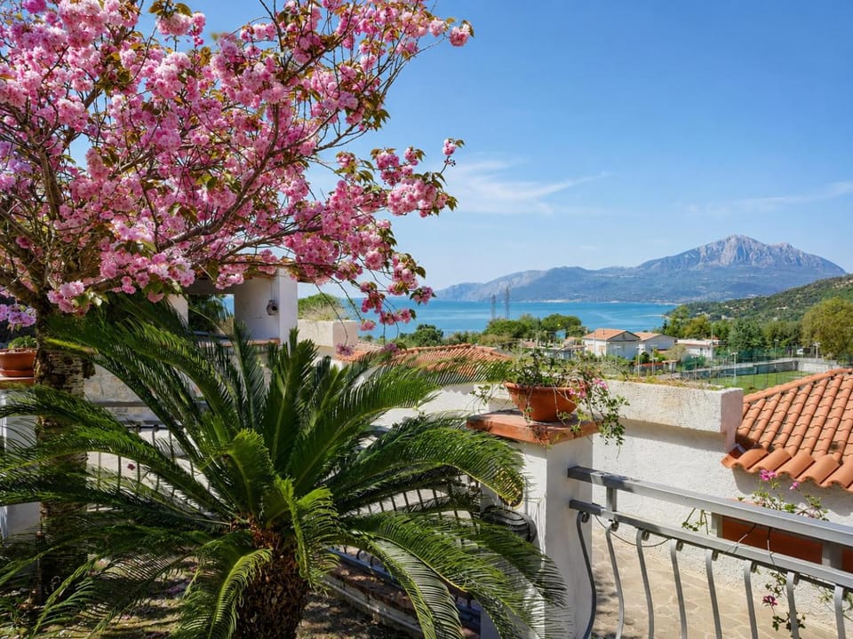 Spring, Garden view, Mountain view, Sea view