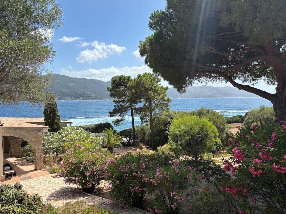 Natural landscape, Garden, Garden, Sea view
