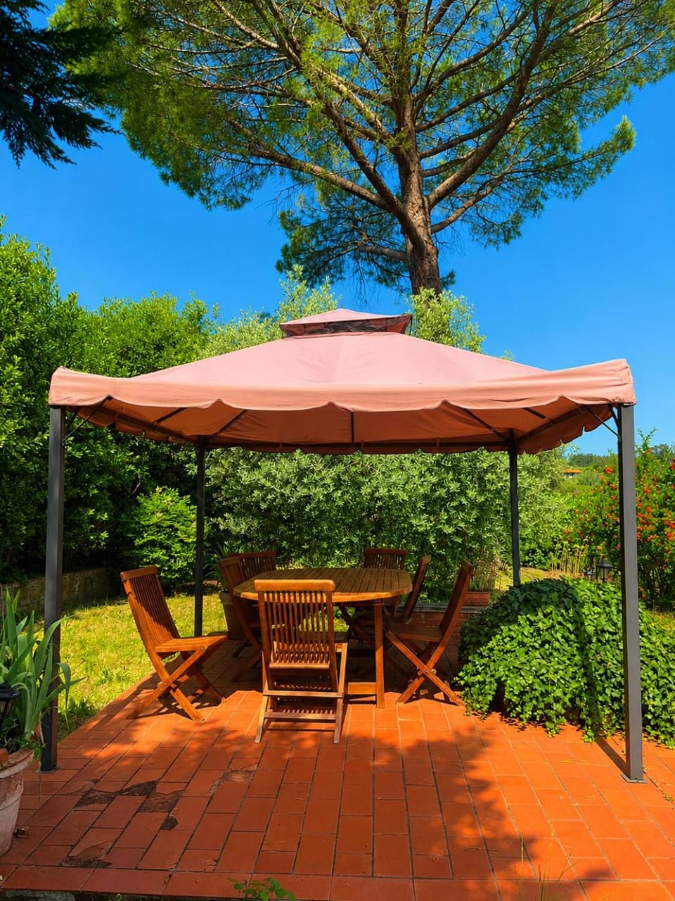 Garden, Garden, Garden view, Garden view