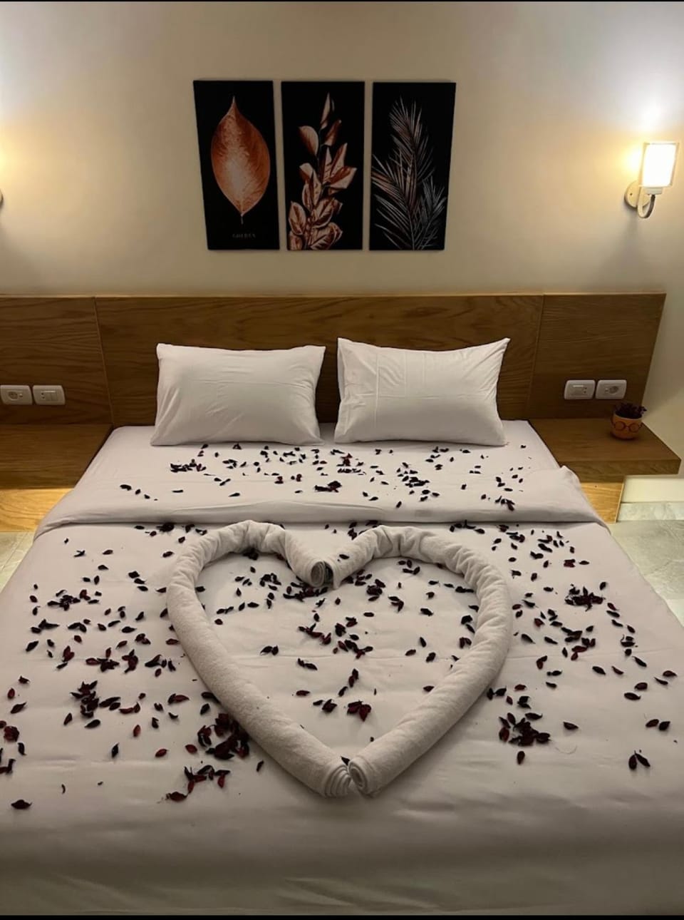 Regal View Residences & Suites Hotel in New Cairo City
