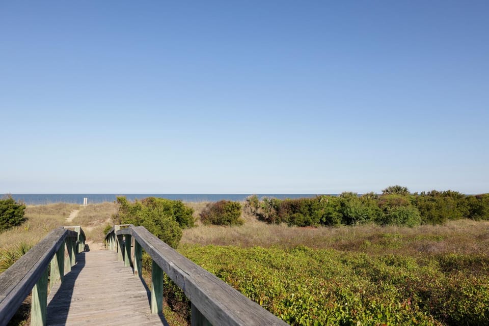 Palmwood Haven House in Tybee Island