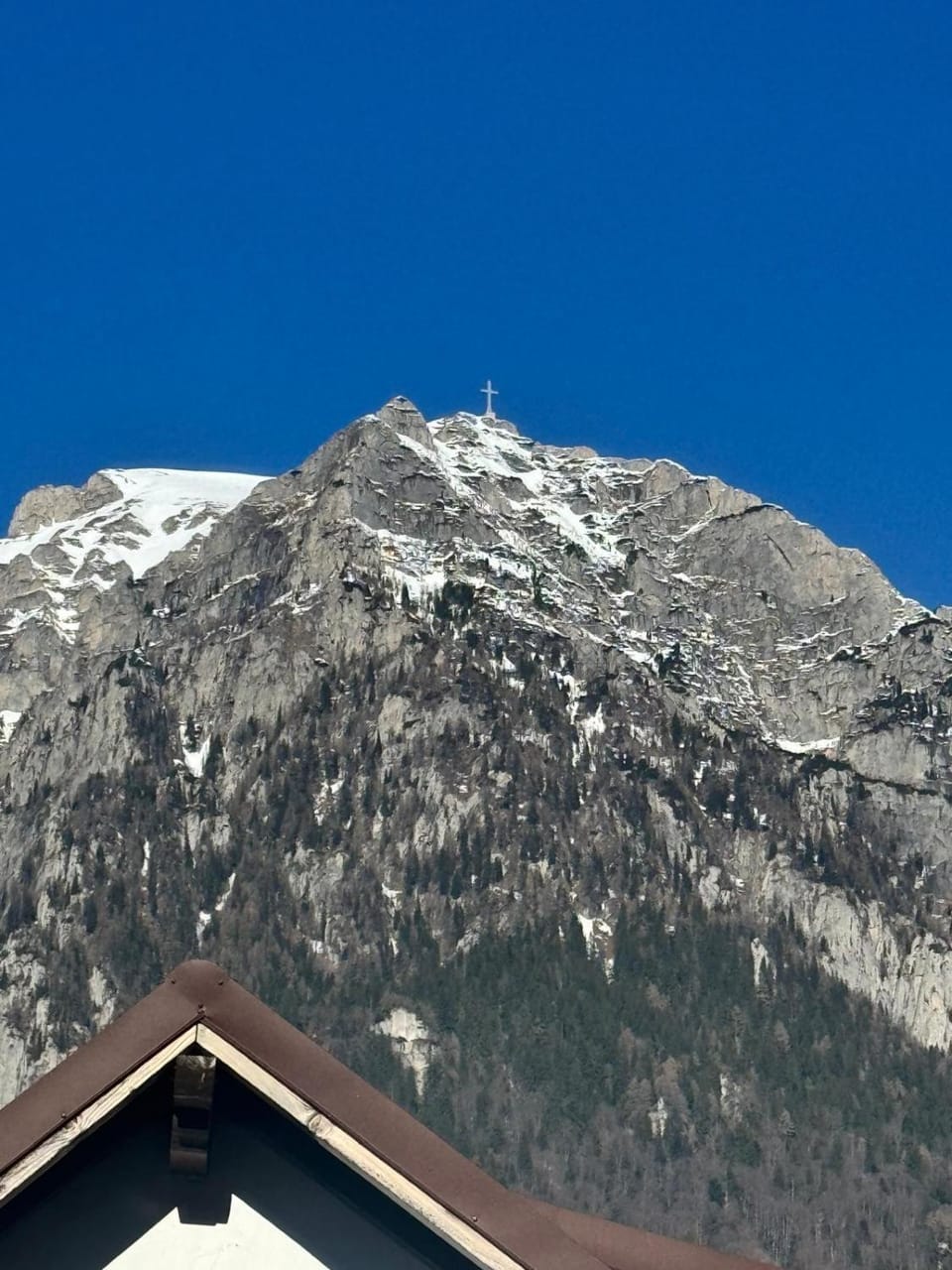 Alpine Noire House in Prahova, Romania
