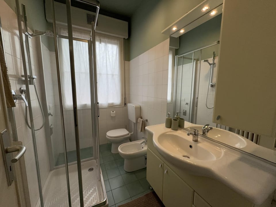 Shower, Toilet, Bathroom, bidet
