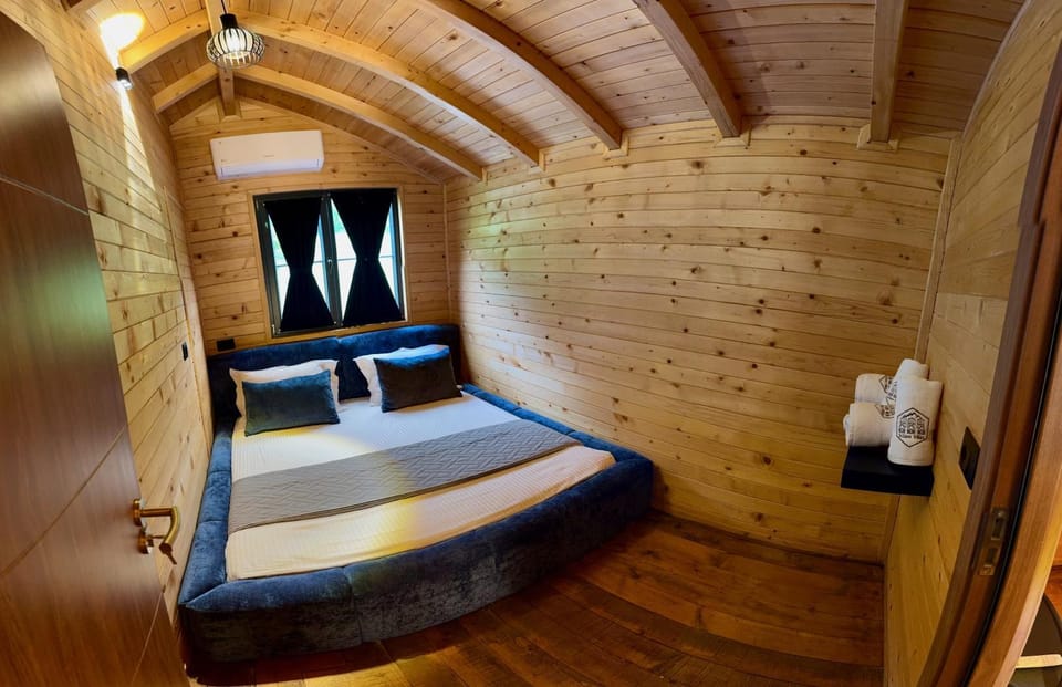 Bed, Photo of the whole room, Bedroom, bunk bed