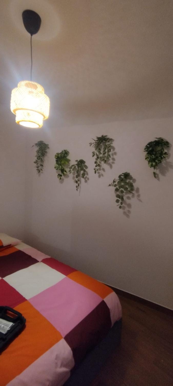 Casa da Capinha Rota - Moura House in Extremadura, Spain