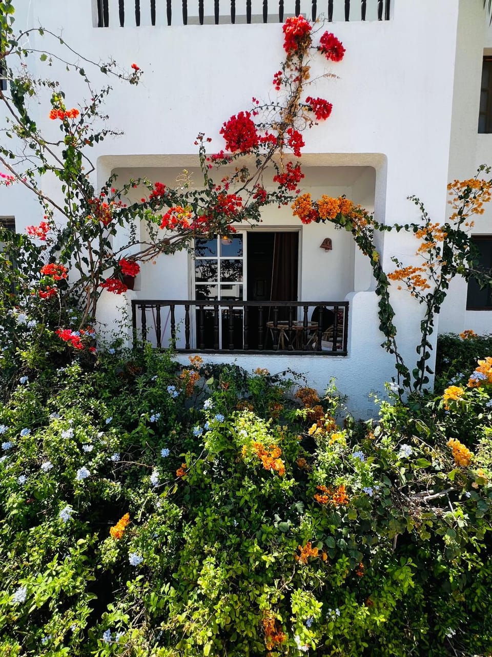استوديو Apartment in Sharm El-Sheikh