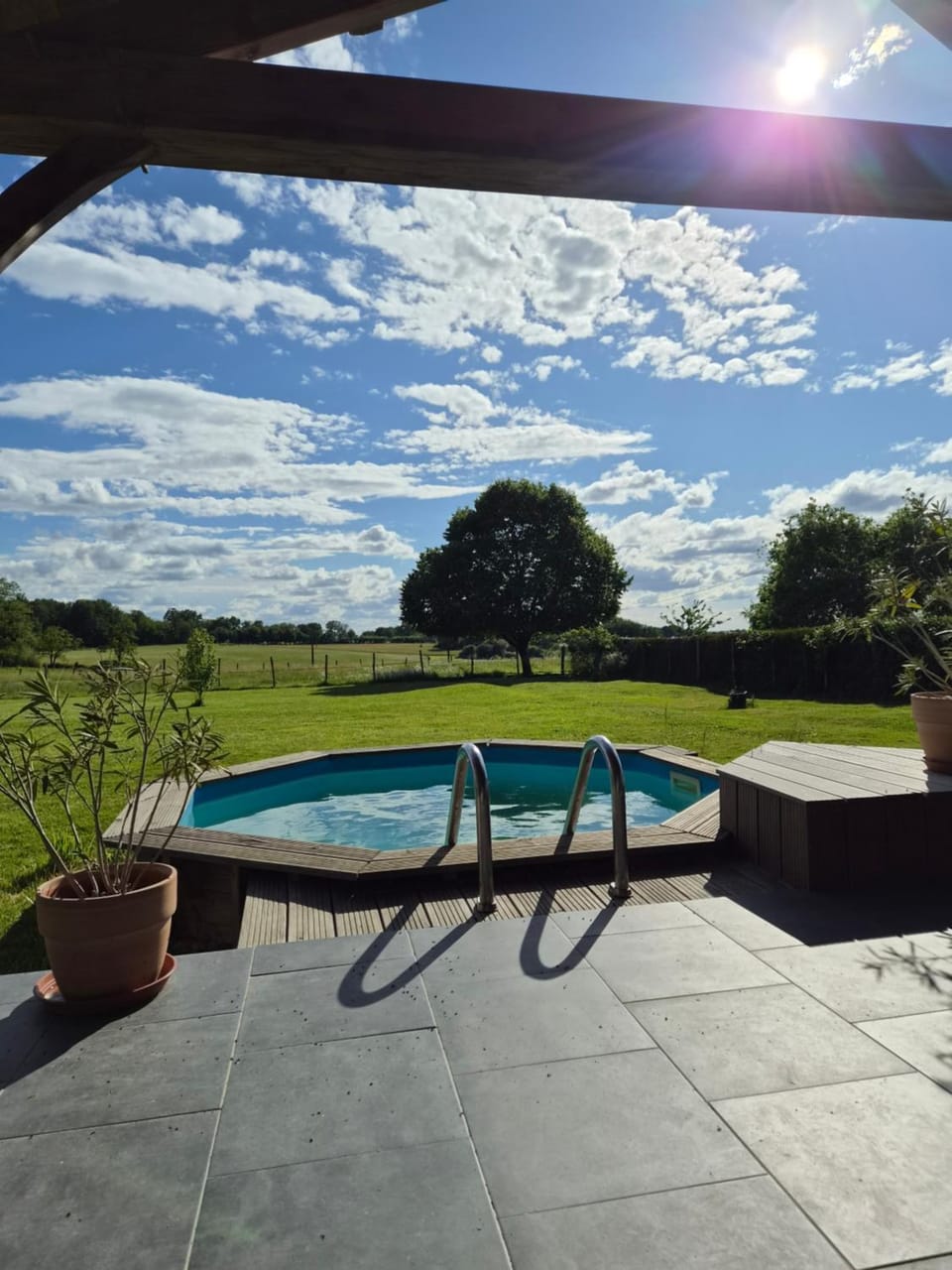 Natural landscape, Garden, Pool view