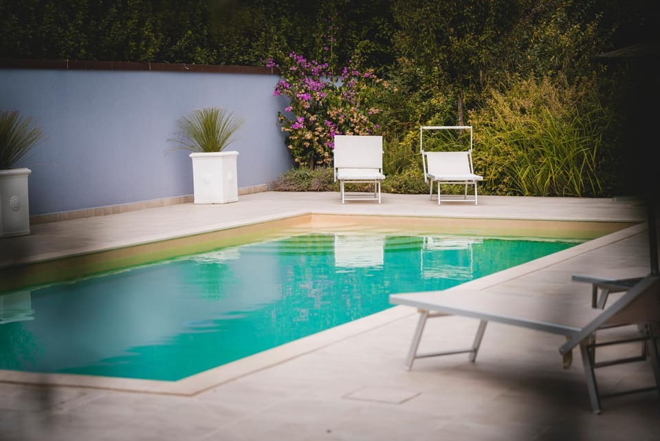 Garden, Pool view, Swimming pool, sunbed