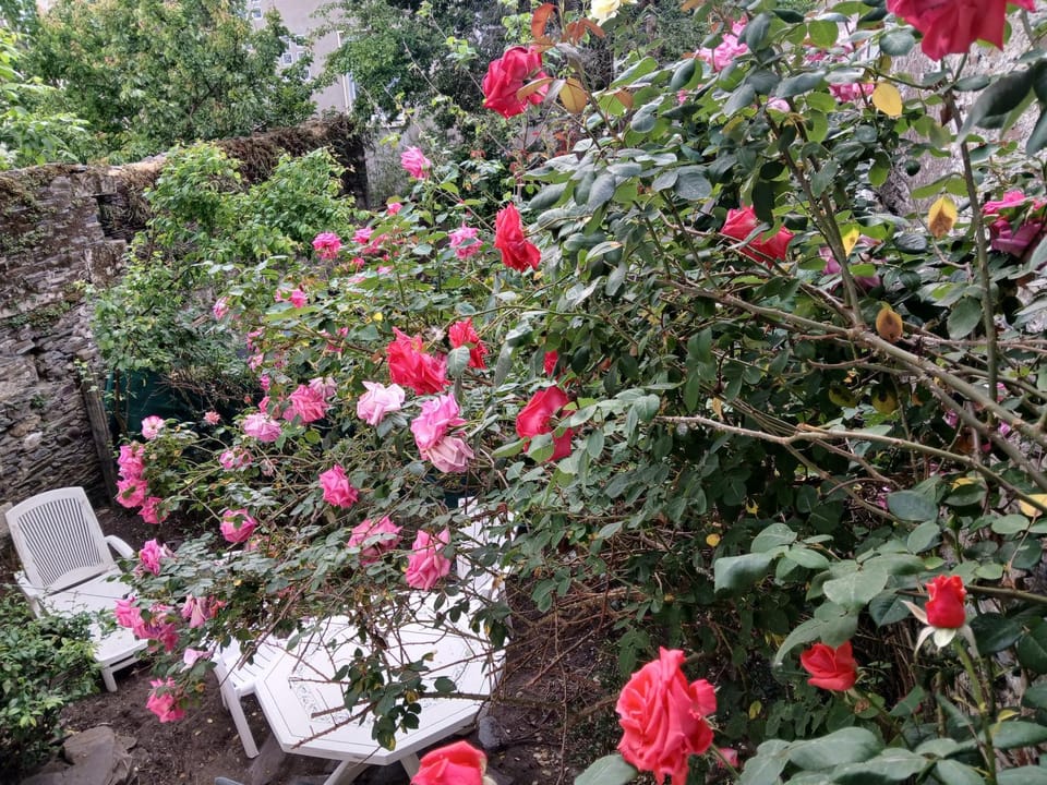 Garden, Balcony/Terrace