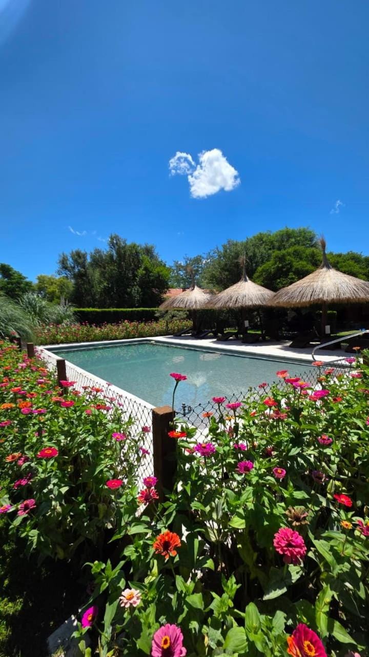 Aypa Pacha Nono Chalet in Nono