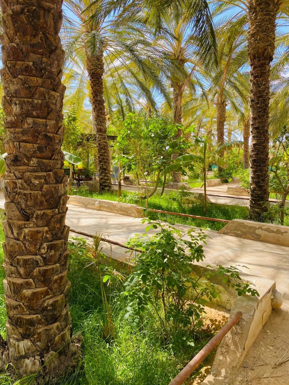 Dar hania Apartment in Tunisia