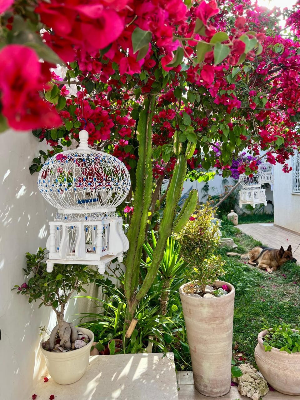 Sweet Home House in Tunis