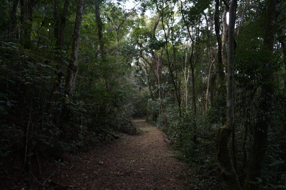 Day, Natural landscape, Garden, Hiking
